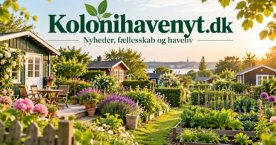 Kolonihavenyt.dk er i luften – nyt medie med fokus på dansk kolonihaveliv